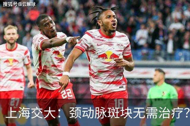 上海交大：颈动脉斑块无需治疗？真相可能让你大吃一惊