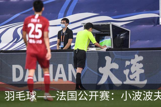 羽毛球——法国公开赛：小波波夫男单夺冠